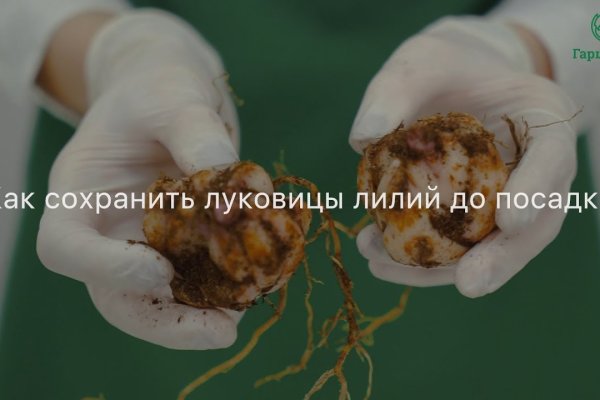 Kraken вход и ссылки