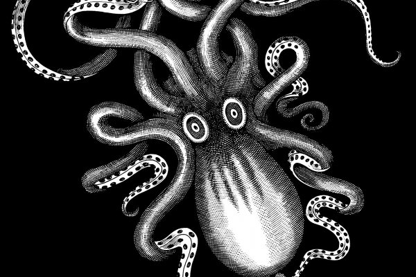 Сайт kraken в tor